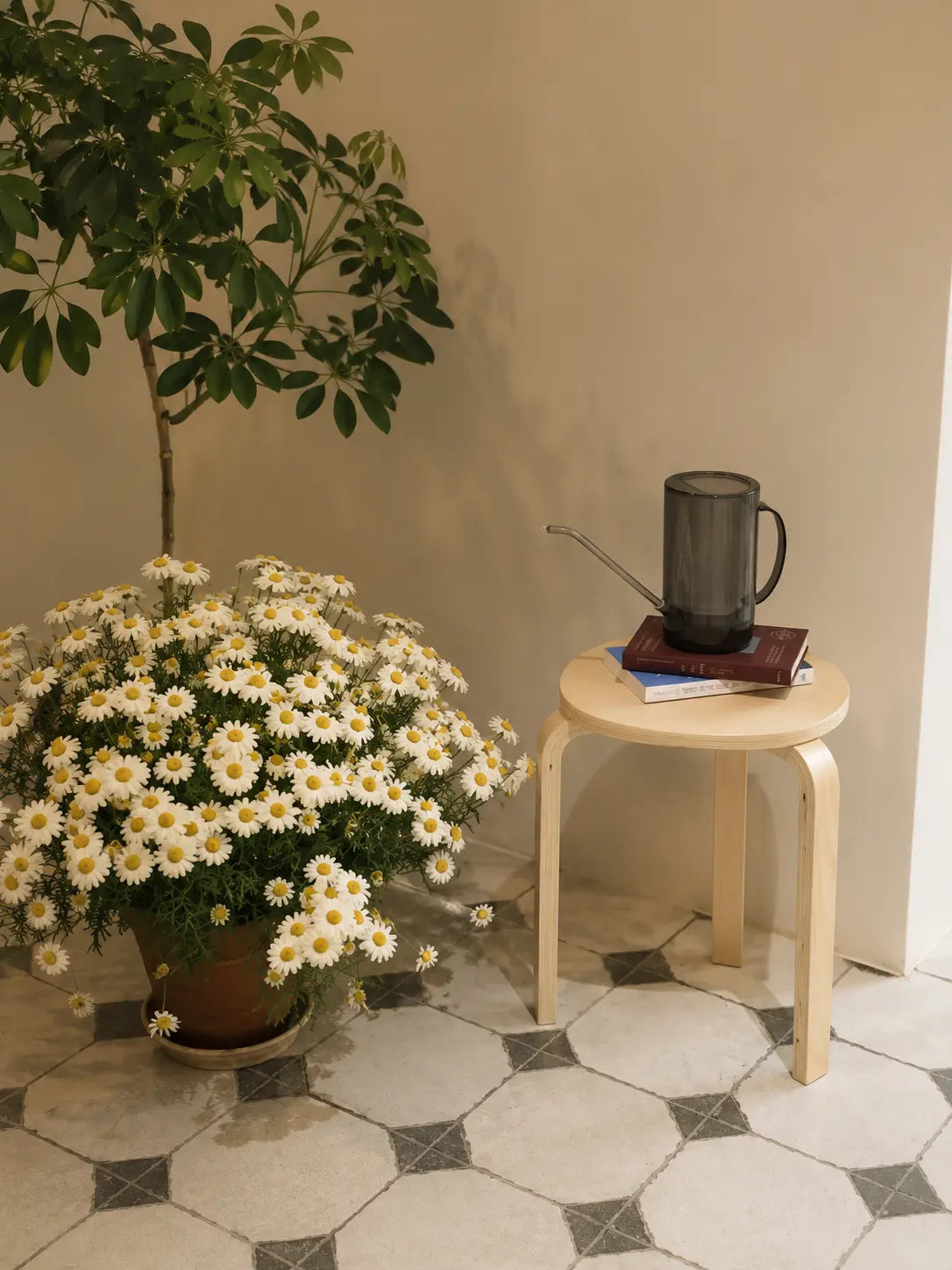 Bentwood Leg Frame