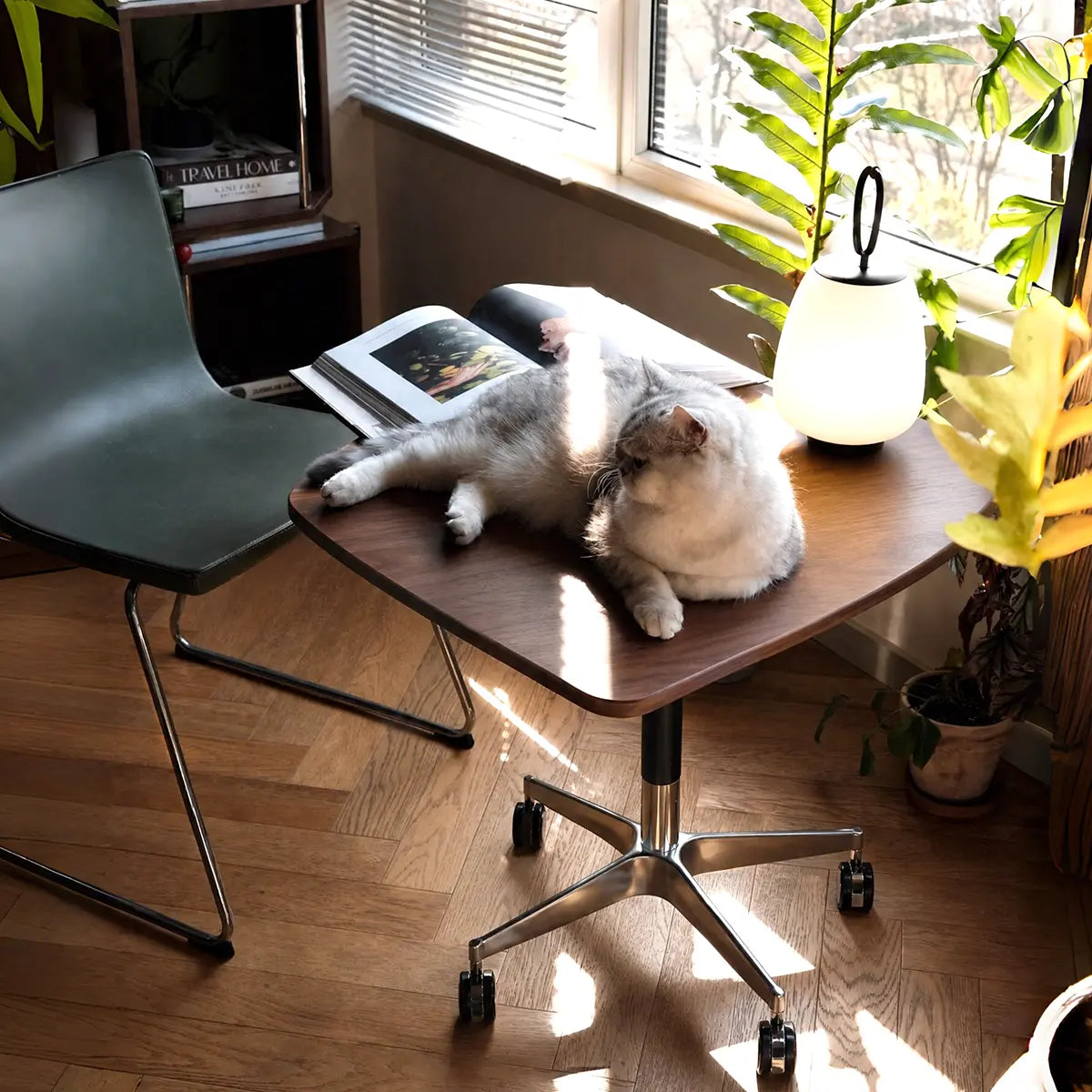Elevora desk in a reading corner